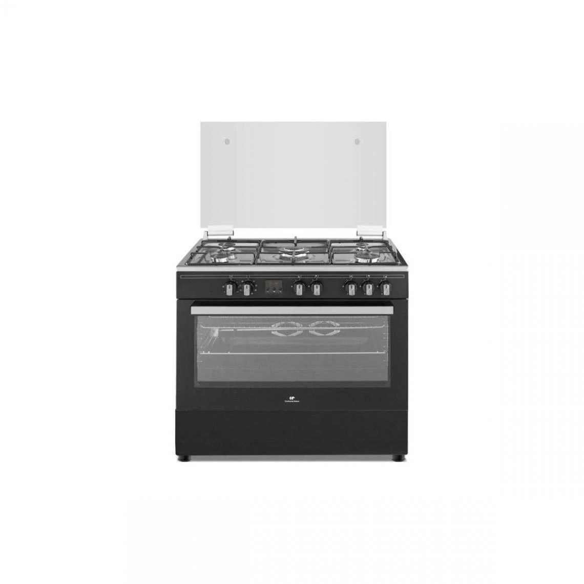 Continental Edison Cuisiniere Piano Four Multifonctions Catalyse 100l ...